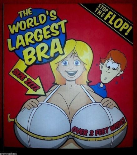 World's Largest Bra - Over 3 Feet! – Terminus City ~ Gifts That Rock